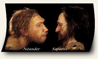 Portraits de neander et sapiens