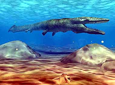 Tylosaurus, reptile retourné vers l'eau